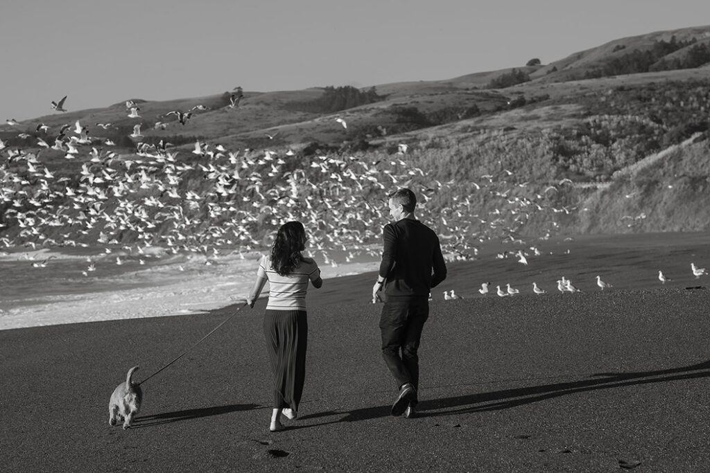 Couple standing beside the California coastline on the Sonoma Coast
